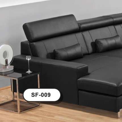 SF-009